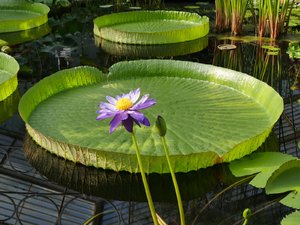 comp_P1060380.jpg comp_P1060380.jpg