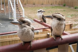 1500_Frame_A6500549.jpg 1500_Frame_A6500549.jpg