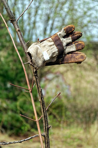 FUJIFILM-S5PRO_DSF2995_DxO.jpg FUJIFILM-S5PRO_DSF2995_DxO.jpg