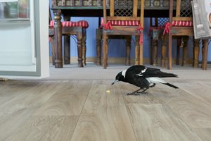 1500_Frame_A6500582.jpg 1500_Frame_A6500582.jpg