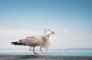 20180902-DSCF8575 bearb..jpg 20180902-DSCF8575 bearb..jpg