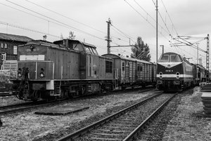 2018-08_24_BW_HALLE-P_N200783-2.jpg
