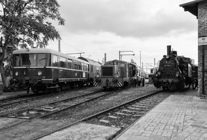 2018-08-24_BW_HALLE-P_SW_N200103-2.jpg