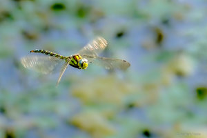 P1080508.jpg P1080508.jpg