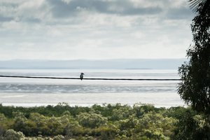 1500_ohne_7R200979.jpg 1500_ohne_7R200979.jpg