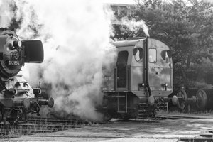 2018-09-15_BW-SCHÖNEWEIDE_SONY580_SW_DSC1657.jpg 2018-09-15_BW-SCHÖNEWEIDE_SONY580_SW_DSC1657.jpg