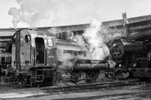 2018-09-15_BW-SCHÖNEWEIDE_SONY580_SW_DSC1667.jpg 2018-09-15_BW-SCHÖNEWEIDE_SONY580_SW_DSC1667.jpg