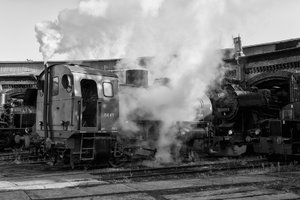 2018-09-15_BW-SCHÖNEWEIDE_SONY580_SW_DSC1669.jpg 2018-09-15_BW-SCHÖNEWEIDE_SONY580_SW_DSC1669.jpg