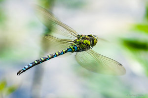 P1000642.jpg P1000642.jpg