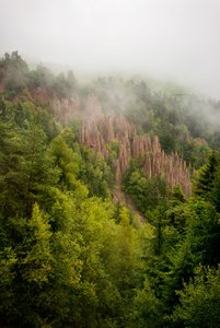 comp_3DSC_0439.jpg comp_3DSC_0439.jpg