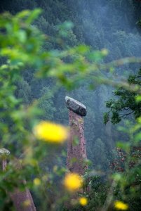 comp_3DSC_0465.jpg comp_3DSC_0465.jpg