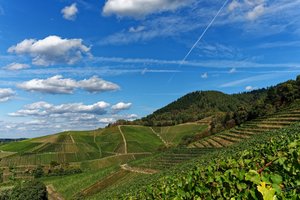 Bild 22.09.18 um 17.37.jpg