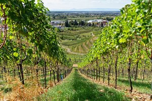 Bild 22.09.18 um 17.58.jpg