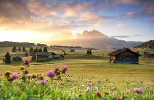 comp_3DSC_0745.jpg comp_3DSC_0745.jpg