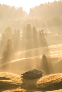 comp_3DSC_0765.jpg comp_3DSC_0765.jpg