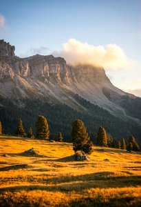 comp_3DSC_0692.jpg comp_3DSC_0692.jpg