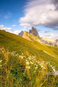 comp_3DSC_7691 2 (2).jpg comp_3DSC_7691 2 (2).jpg