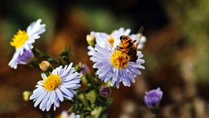 HD_DP3Q1066Cf.jpg HD_DP3Q1066Cf.jpg