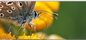 2018-10-02_202046.jpg 2018-10-02_202046.jpg