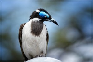 1400_R_A6501439-Bearbeitet.jpg 1400_R_A6501439-Bearbeitet.jpg