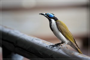 1400_R_A6501441-Bearbeitet.jpg 1400_R_A6501441-Bearbeitet.jpg