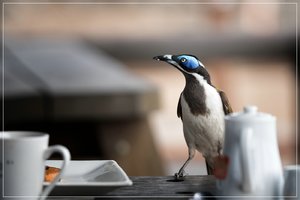 1400_R_A6501445-Bearbeitet.jpg 1400_R_A6501445-Bearbeitet.jpg