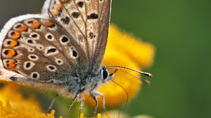 DP3Q0949SHI.jpg DP3Q0949SHI.jpg