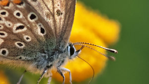 DP3Q0949Doppelt.jpg DP3Q0949Doppelt.jpg