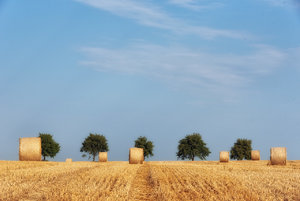 für Fotoforum (klein)-4.jpg