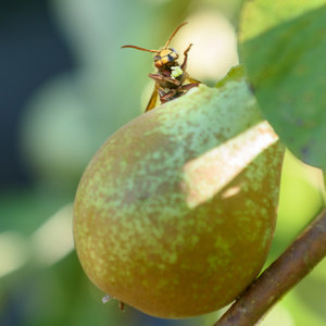 für Fotoforum (klein)-5.jpg