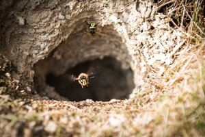 für Fotoforum (klein)-6.jpg