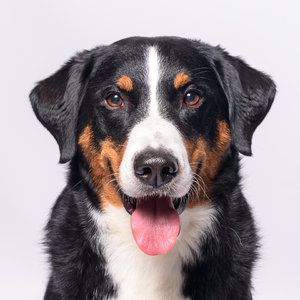 für Fotoforum (klein)-8.jpg