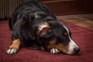 für Fotoforum (klein)-10.jpg