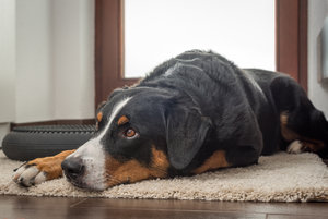 für Fotoforum (klein)-9.jpg