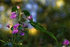 Bild 10.10.18 um 18.11.jpg