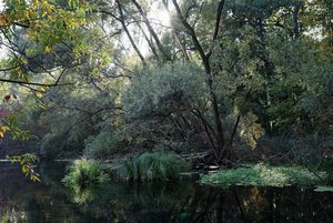 Bild 10.10.18 um 18.13.jpg