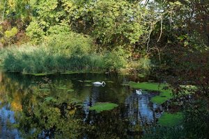 Bild 10.10.18 um 18.23.jpg