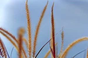 Bild 11.10.18 um 17.03.jpg