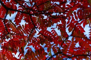 Bild 11.10.18 um 17.26.jpg