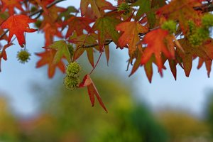 Bild 11.10.18 um 17.06.jpg