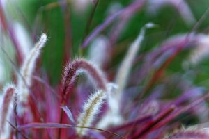 Bild 11.10.18 um 17.09.jpg