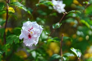 Bild 11.10.18 um 17.12.jpg