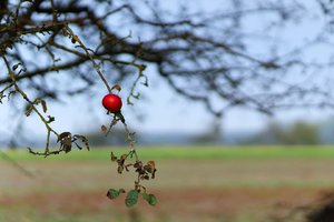 Bild 11.10.18 um 17.19.jpg