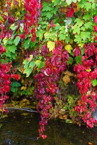 Bild 11.10.18 um 17.15.jpg