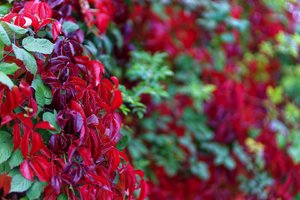 Bild 11.10.18 um 17.23.jpg