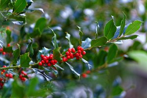 Bild 11.10.18 um 17.28.jpg