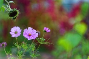 Bild 11.10.18 um 17.31.jpg