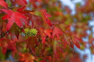 Bild 11.10.18 um 20.10.jpg