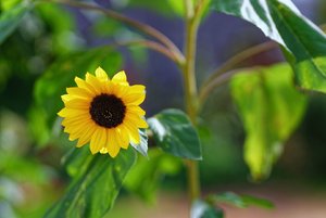 Bild 11.10.18 um 20.07.jpg