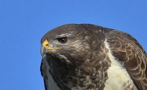 comp_21.10 (202).jpg